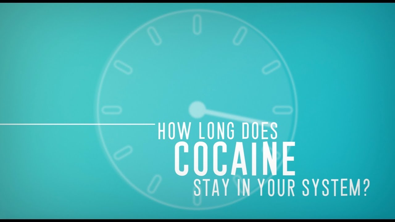≫ How Long Does Coke Stay In Your System The Dizaldo Blog!